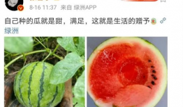 娱乐圈有什么瓜吃,揭秘明星们的幕后故事与精彩瞬间