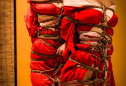 绳艺漫画,探索束缚与自由的视觉艺术之旅